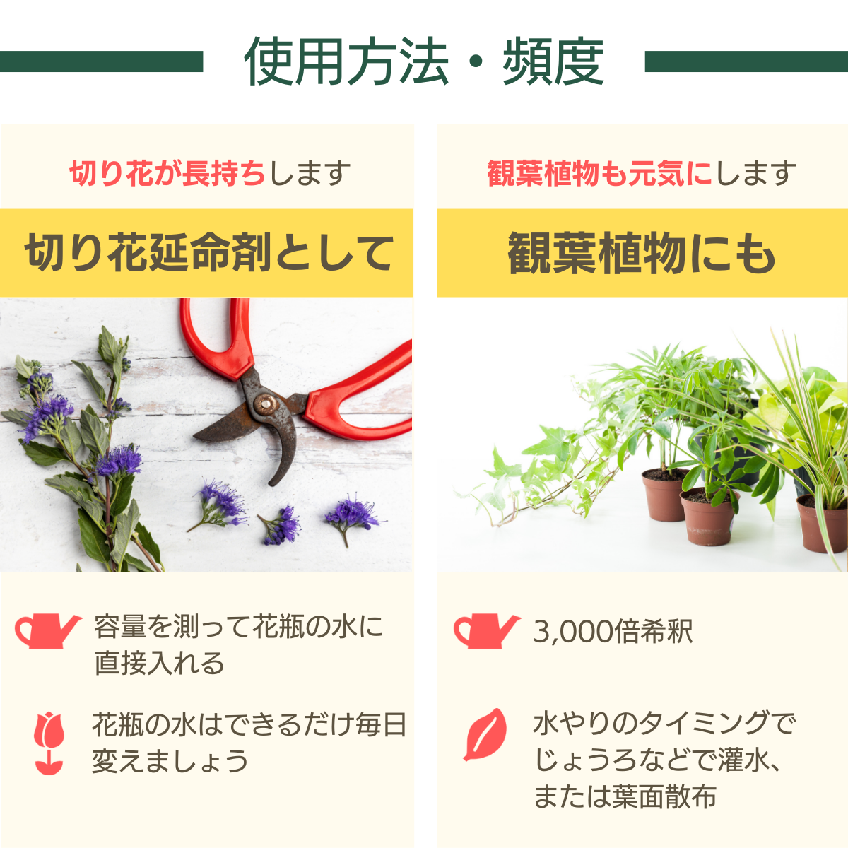 天然植物活性剤 ヒバ油MIX植物活性液 (100mL)