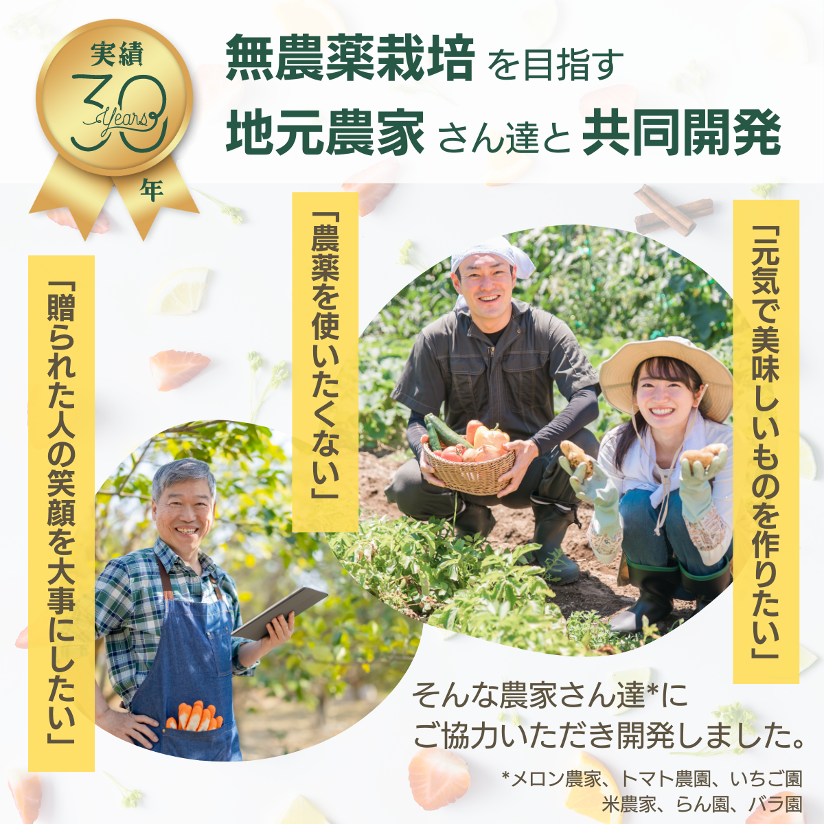 害虫対策 虫よけニームMIX OIL(100mL)