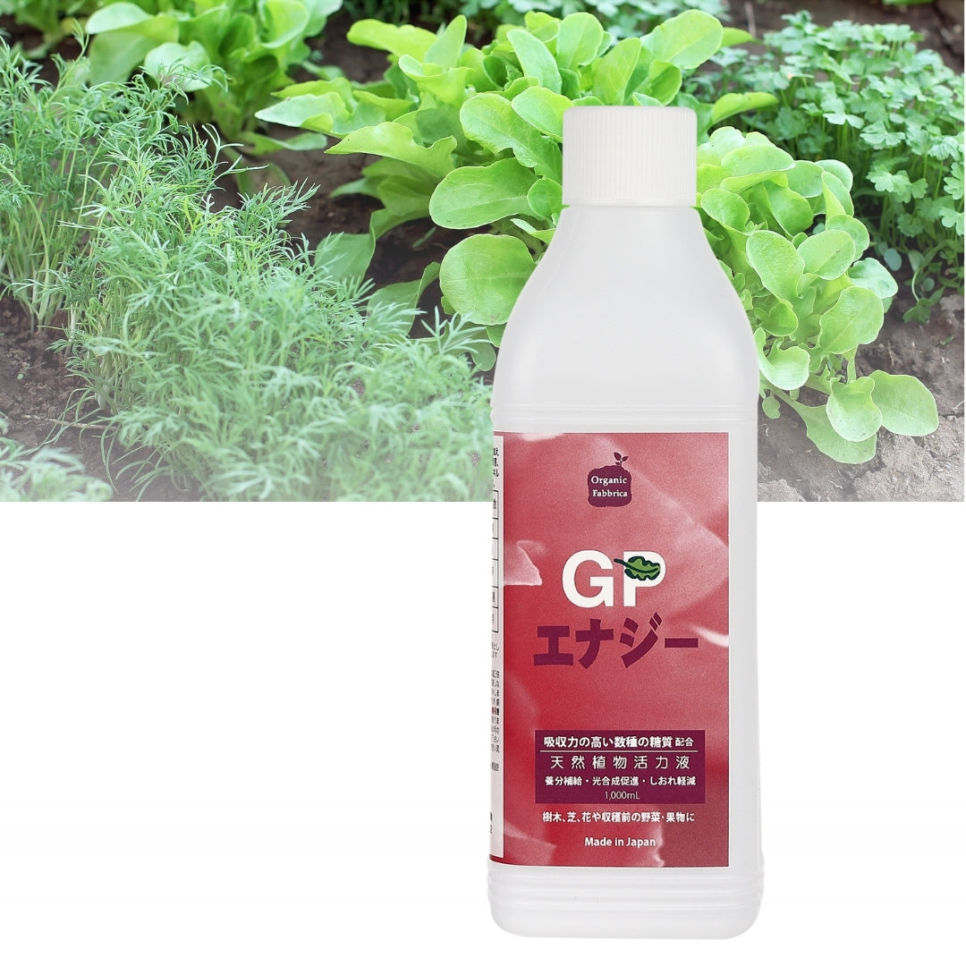 GPエナジー1000mL