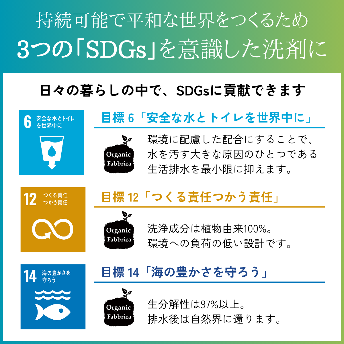 ジョリーブココ台所用洗剤(10L )