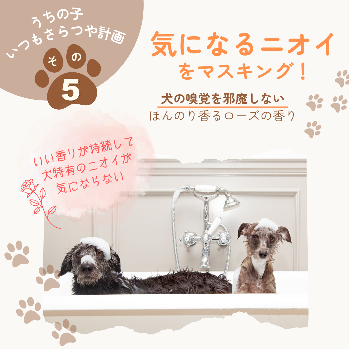 愛犬用 ロッティシャイニーオイル(25mL×2本)