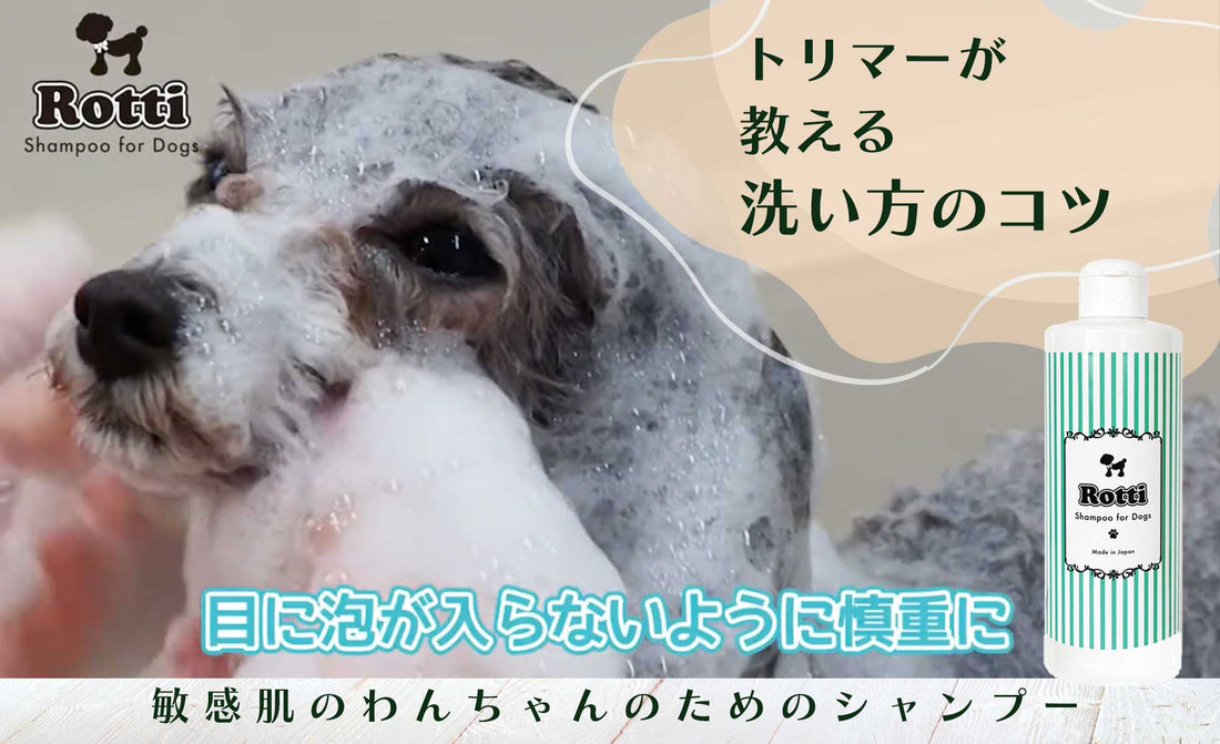 トリマー　洗い方　泡洗浄