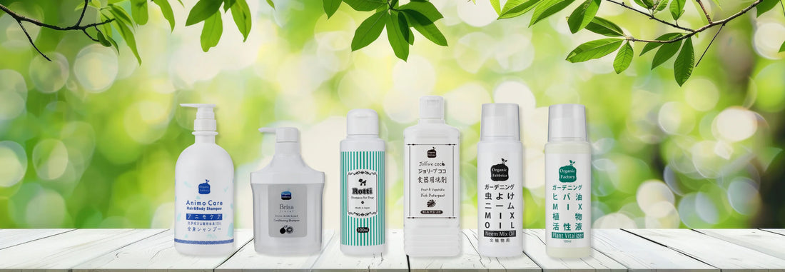 オーガニックファブリカのホームページを公開しました