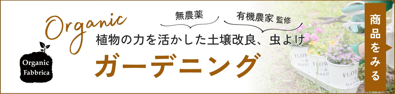 単品/セット商品