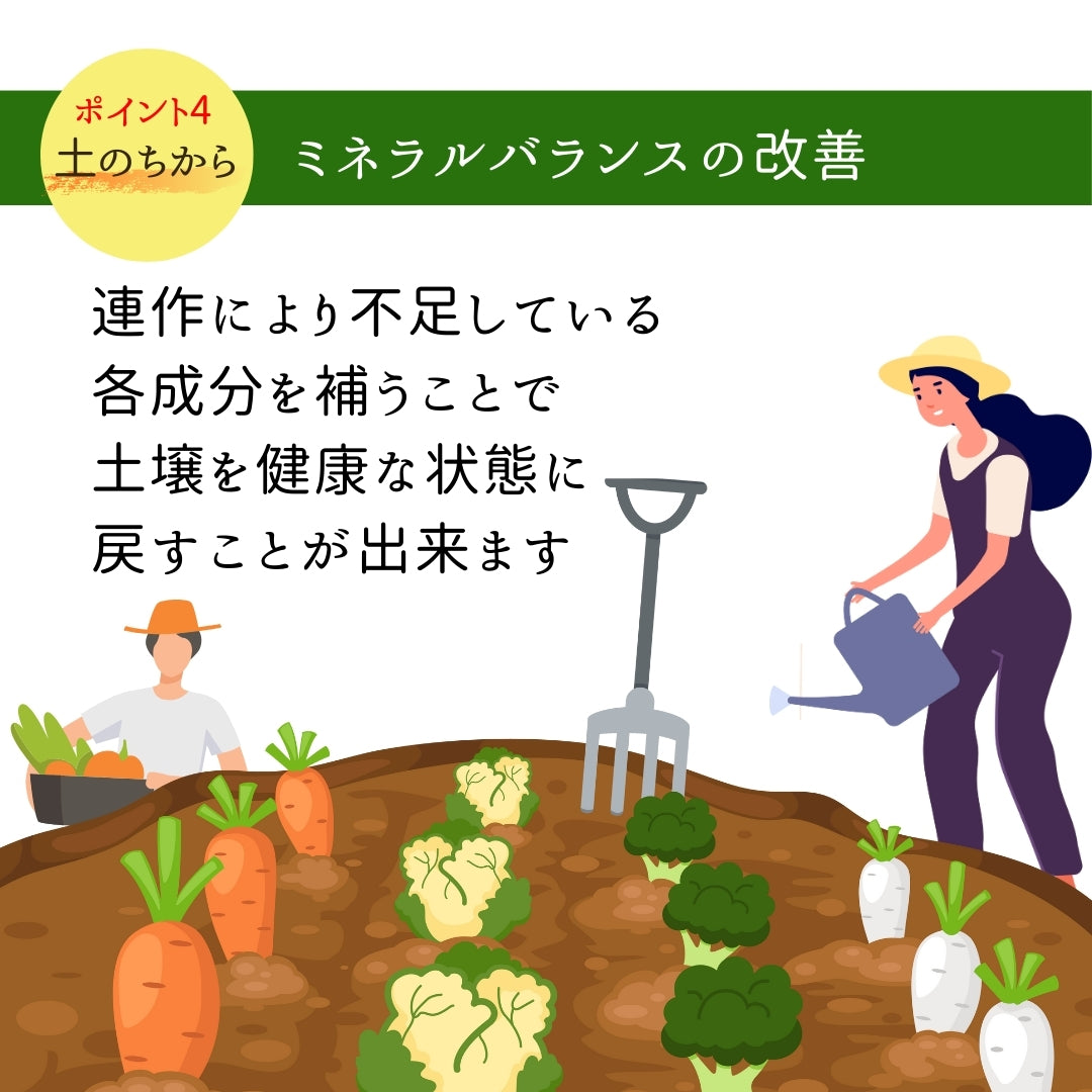 粒状 腐植酸 土のちから(700g）
