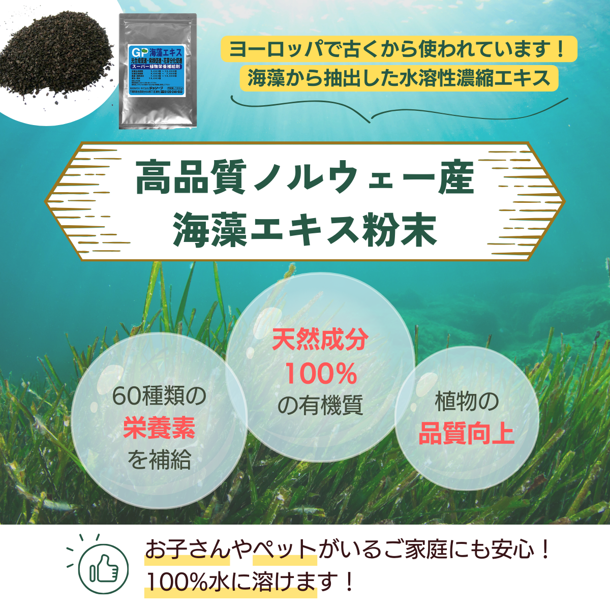 植物栄養補給剤 GP海藻エキス(100g×10個）