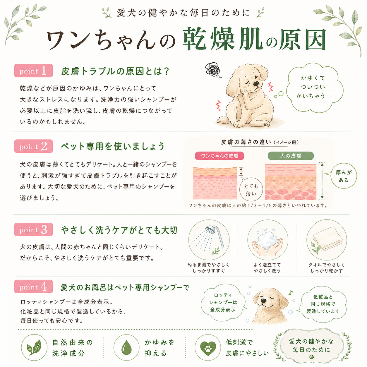 愛犬用ロッティシャンプー(2L)