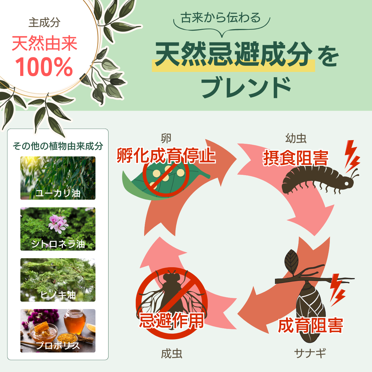 抗害虫活性剤 GPレスキュー(1L)