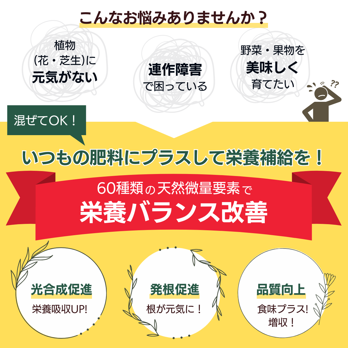 植物栄養補給剤 GP海藻エキス(100g×10個）