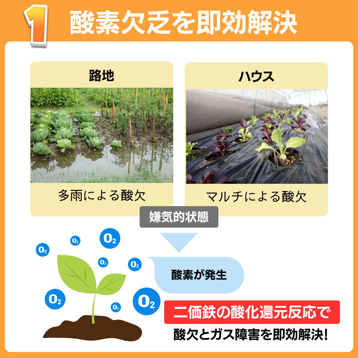 土壌根圏活性剤 GPリバース(100mL）