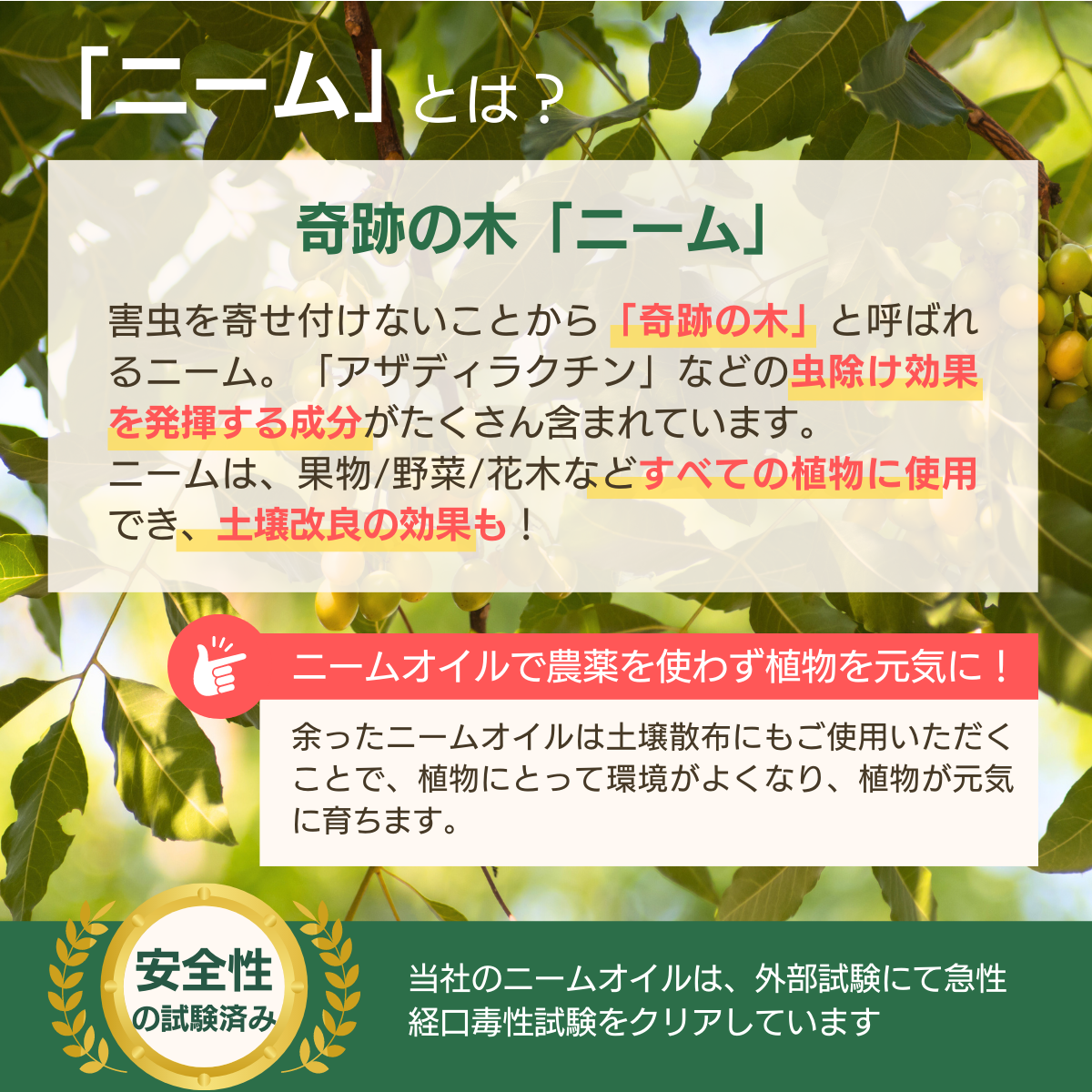 害虫対策 虫よけニームMIX OIL(100mL)