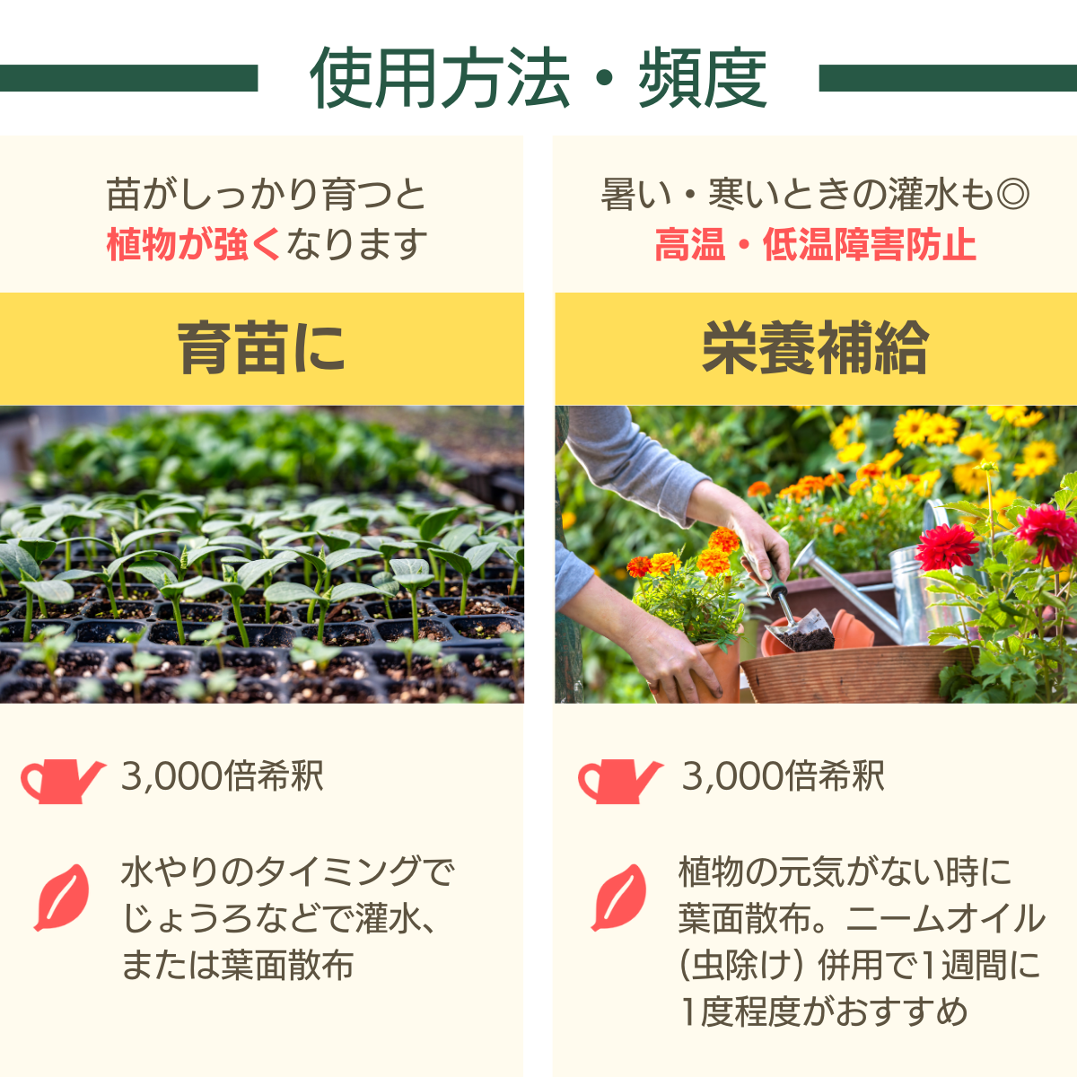 天然植物活性剤 ヒバ油MIX植物活性液 (100mL）