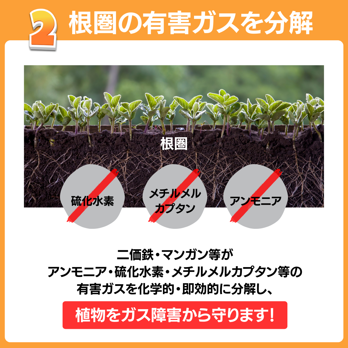 土壌根圏活性剤 GPリバース(100mL）