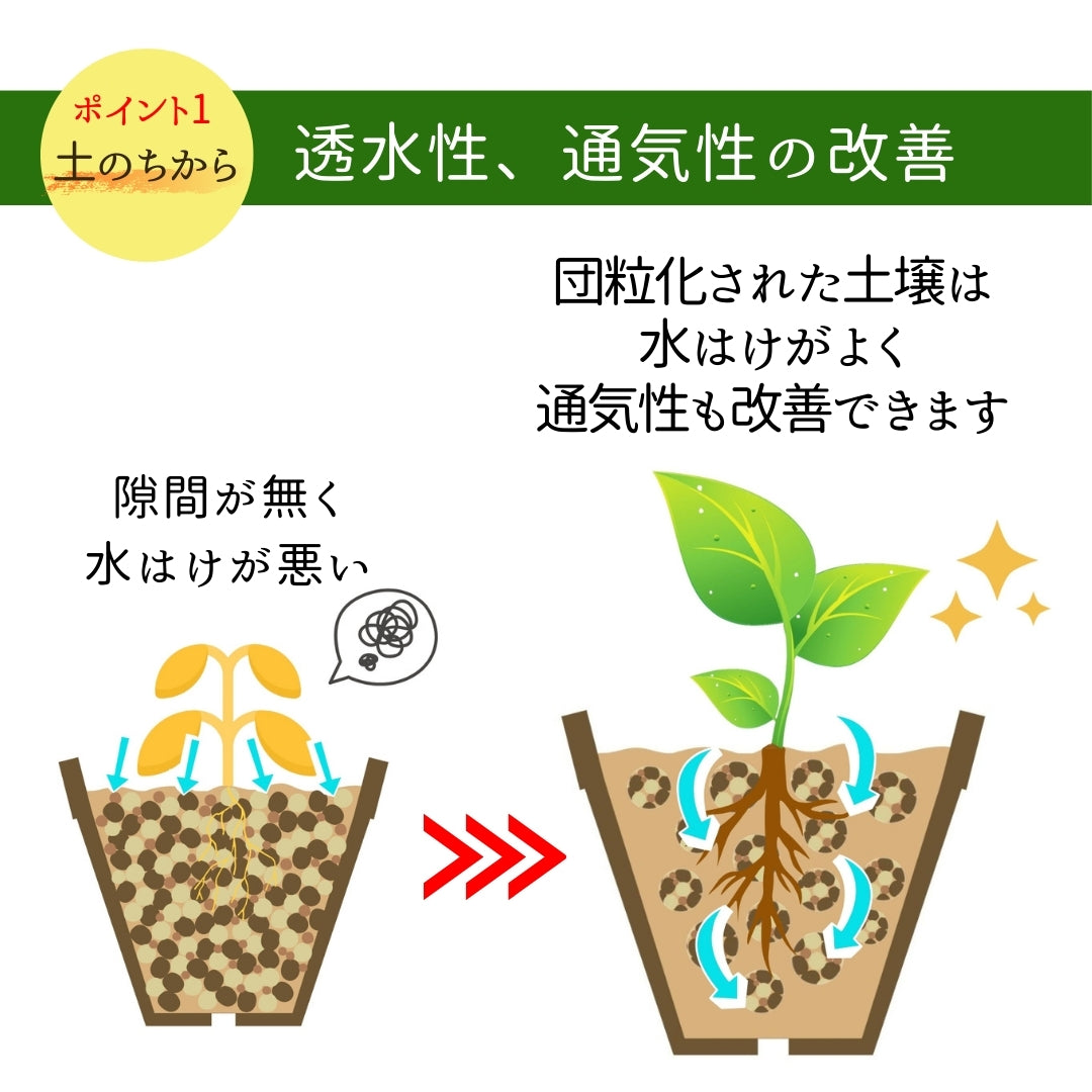 粒状 腐植酸 土のちから(700g）