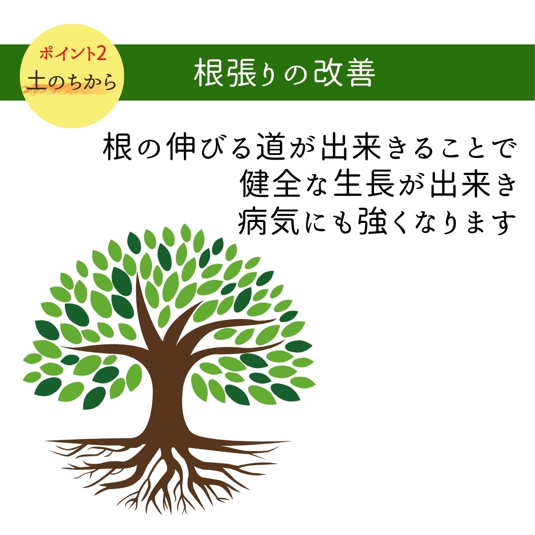 粒状 腐植酸 土のちから(700g）