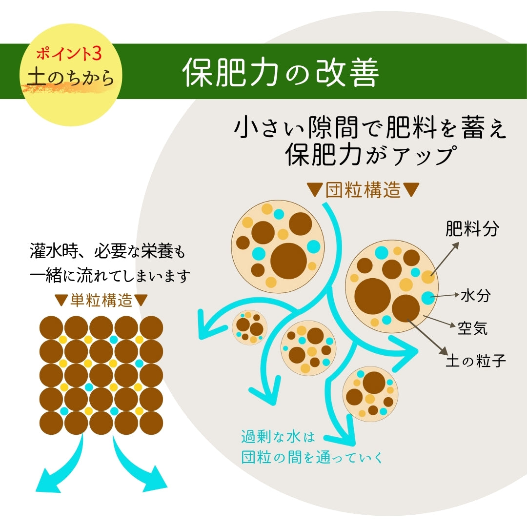 粒状 腐植酸 土のちから(700g）