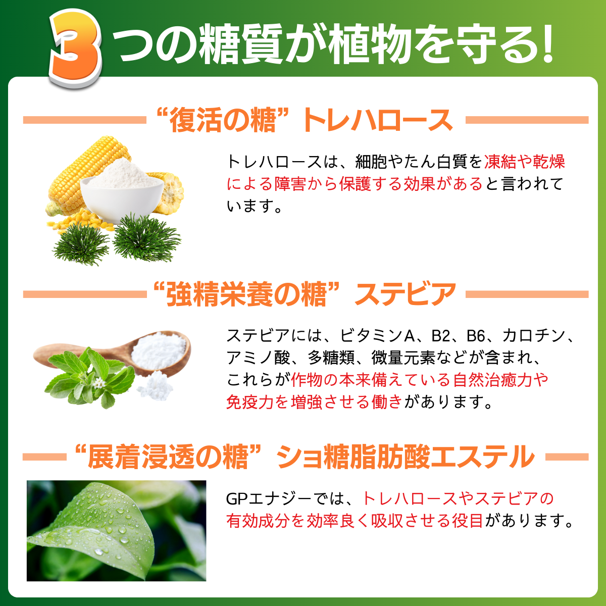 養分補給剤 GPエナジー(200mL）