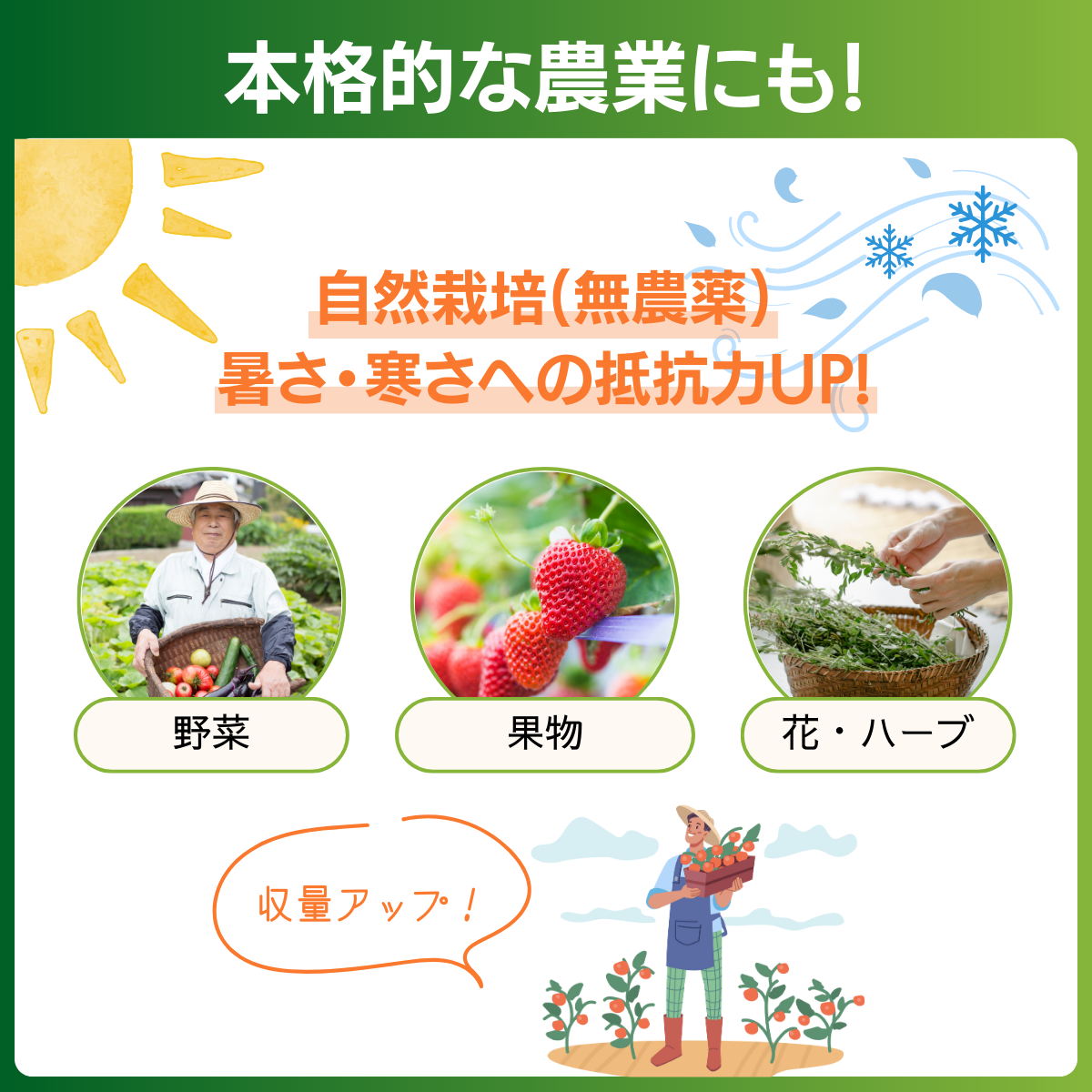 養分補給剤 GPエナジー(200mL）