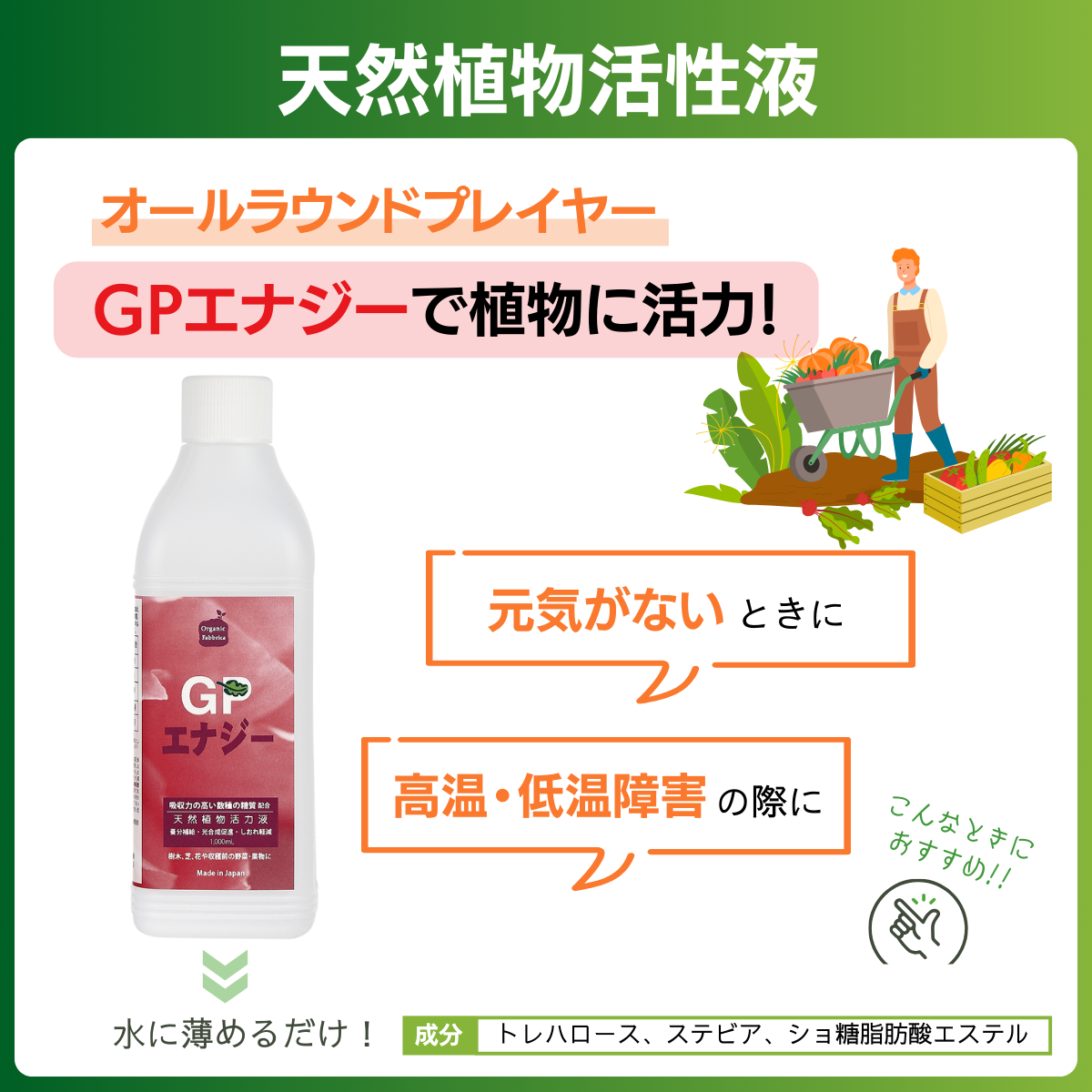 養分補給剤 GPエナジー(1L）