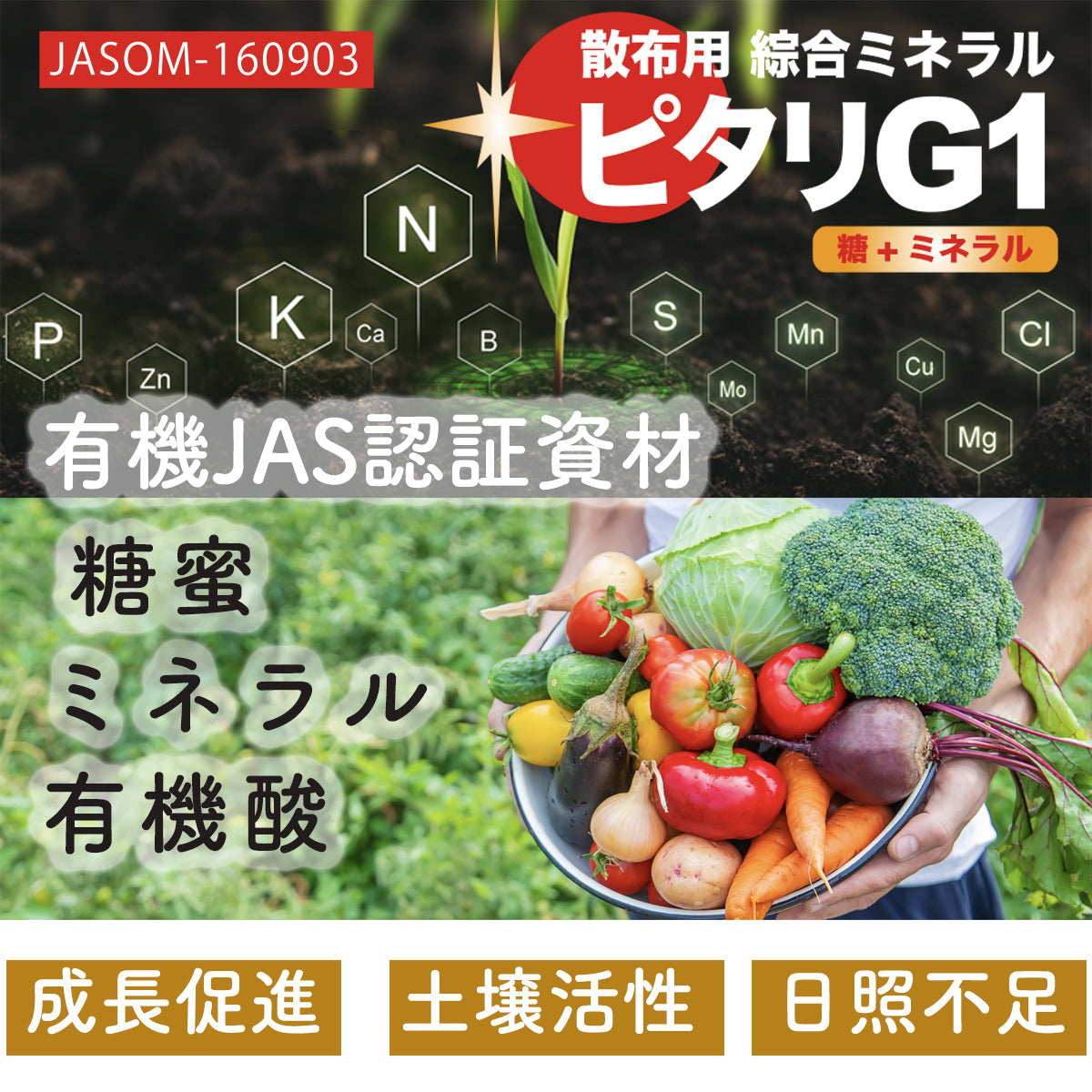総合ミネラル(有機JAS適合)ピタリG1(10L）