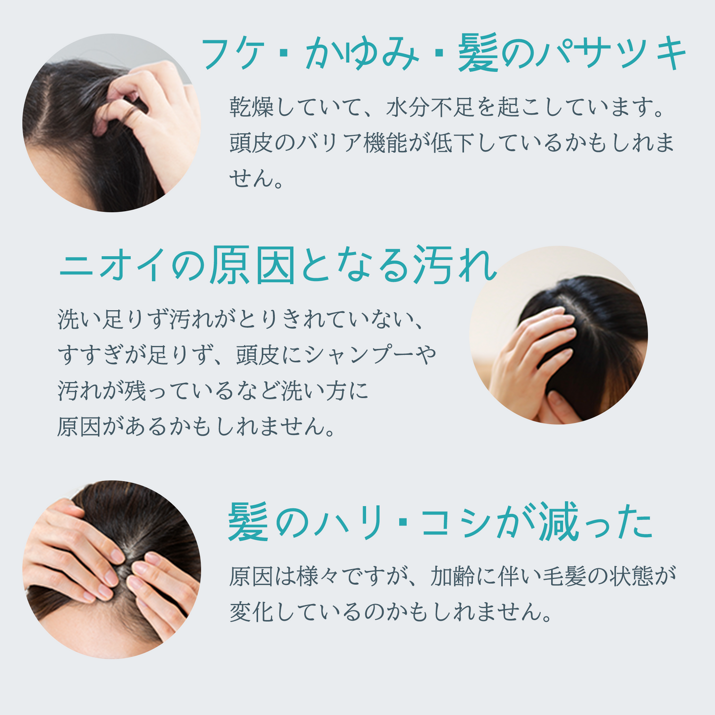ブリッサフルータルシャンプー(100mL）