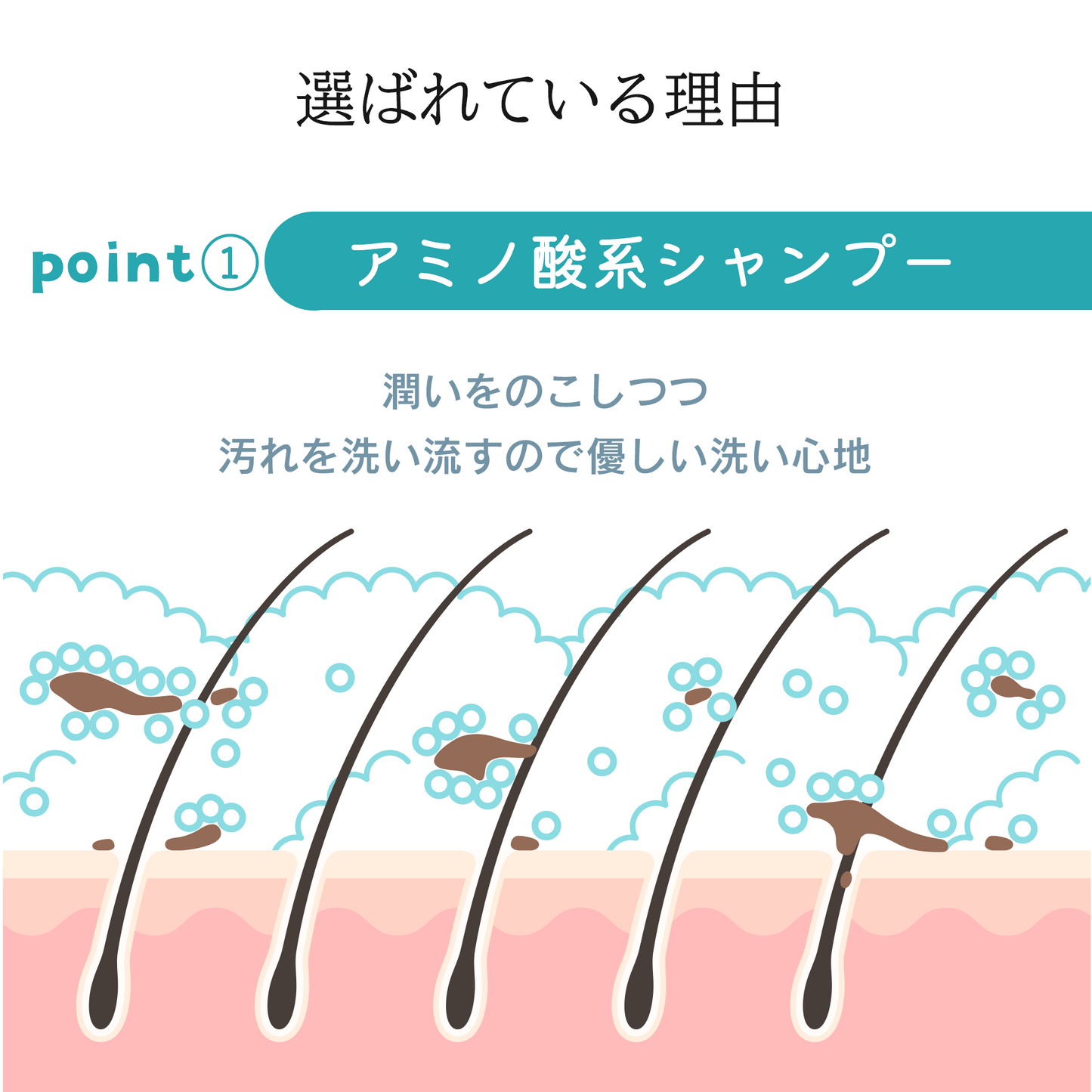 ブリッサフルータルシャンプー(100mL）