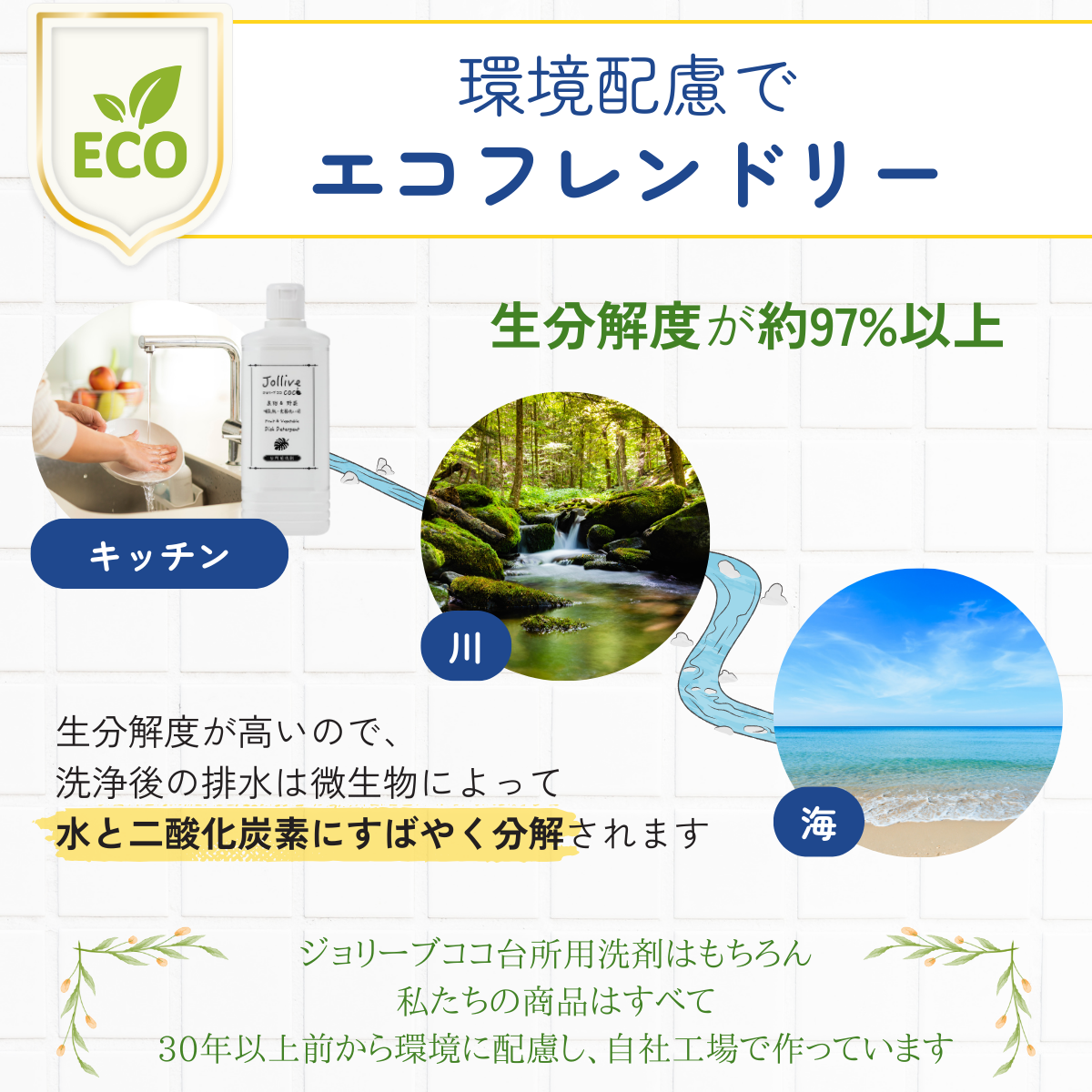 ジョリーブココ台所用洗剤(10L )