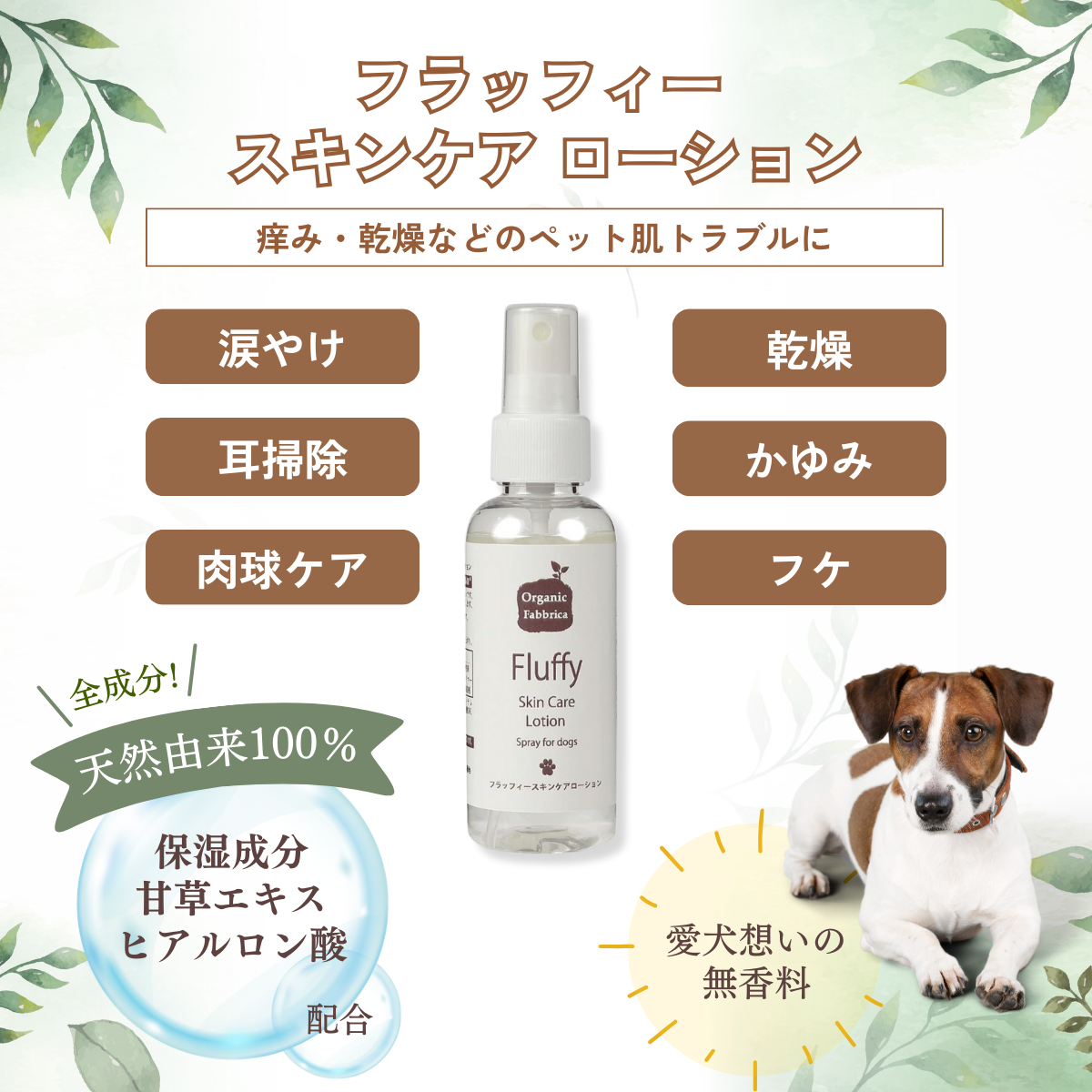 愛犬想いのスキンケアローションギフト