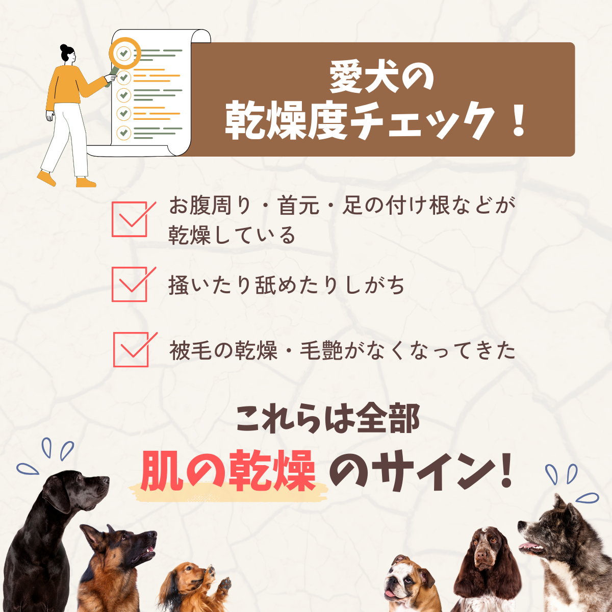 愛犬用 フラッフィースキンケアローション(詰替100mL）