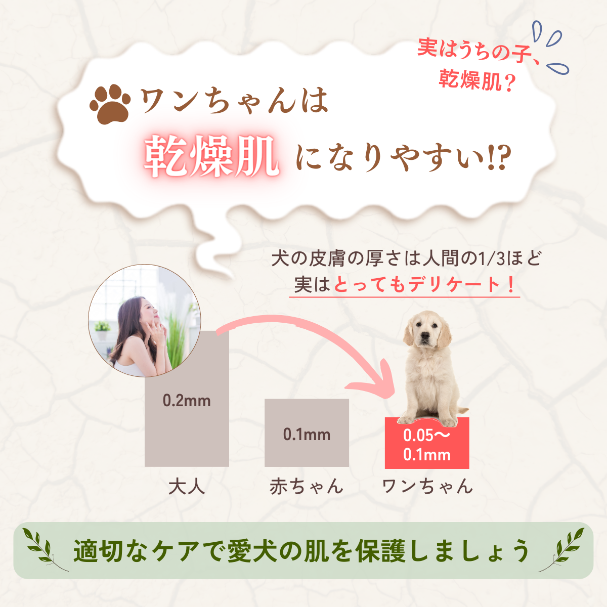 愛犬用 フラッフィースキンケアローション(詰替100mL）