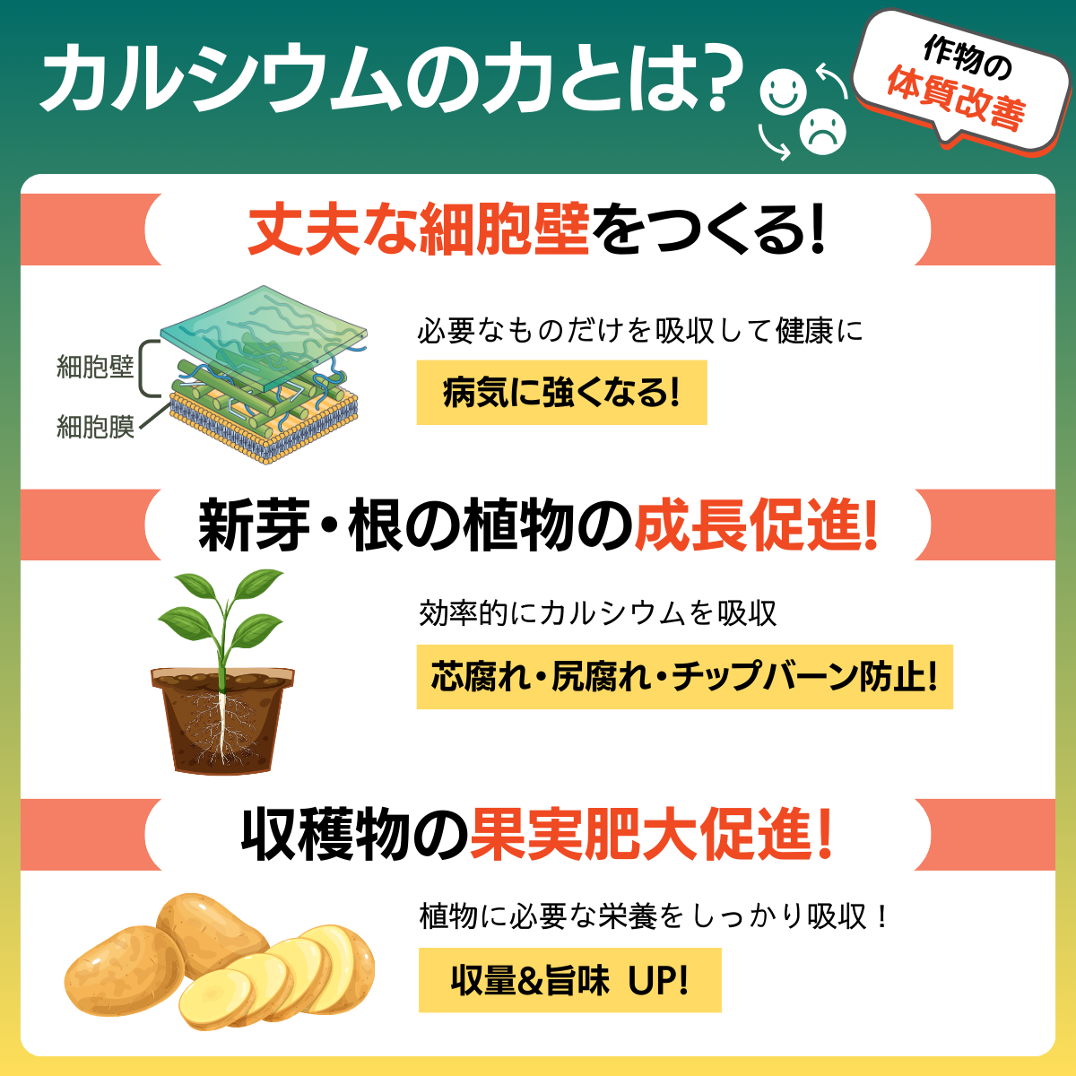 生理障害防止剤 GPカルシウム(1L）