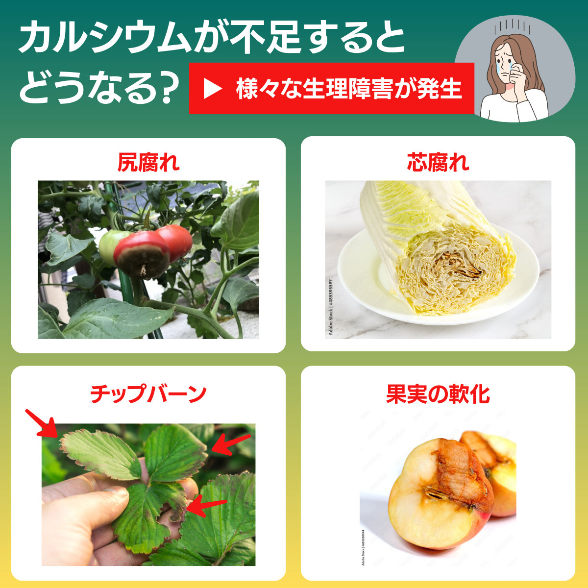 生理障害防止剤 GPカルシウム(1L）
