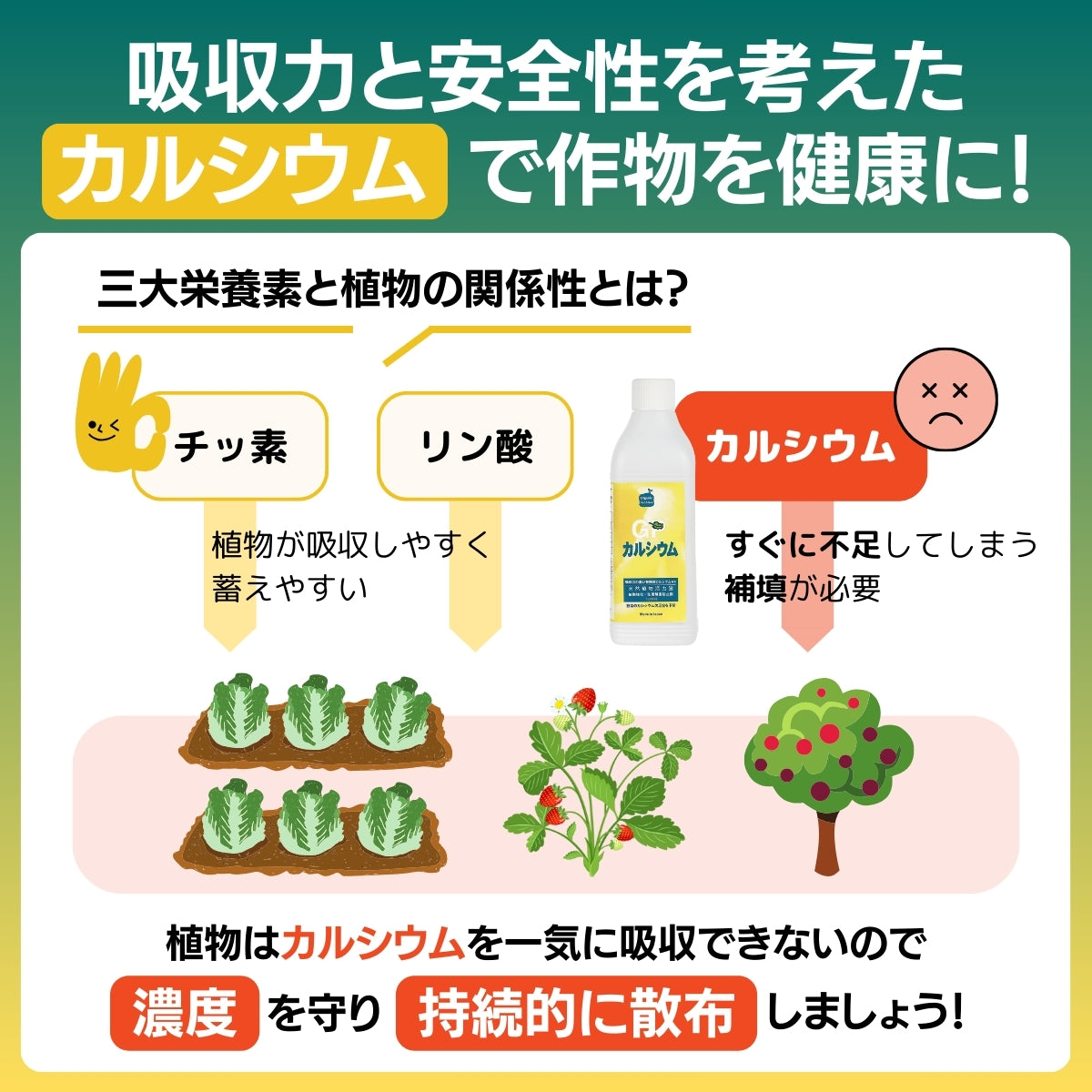 生理障害防止剤 GPカルシウム(1L）