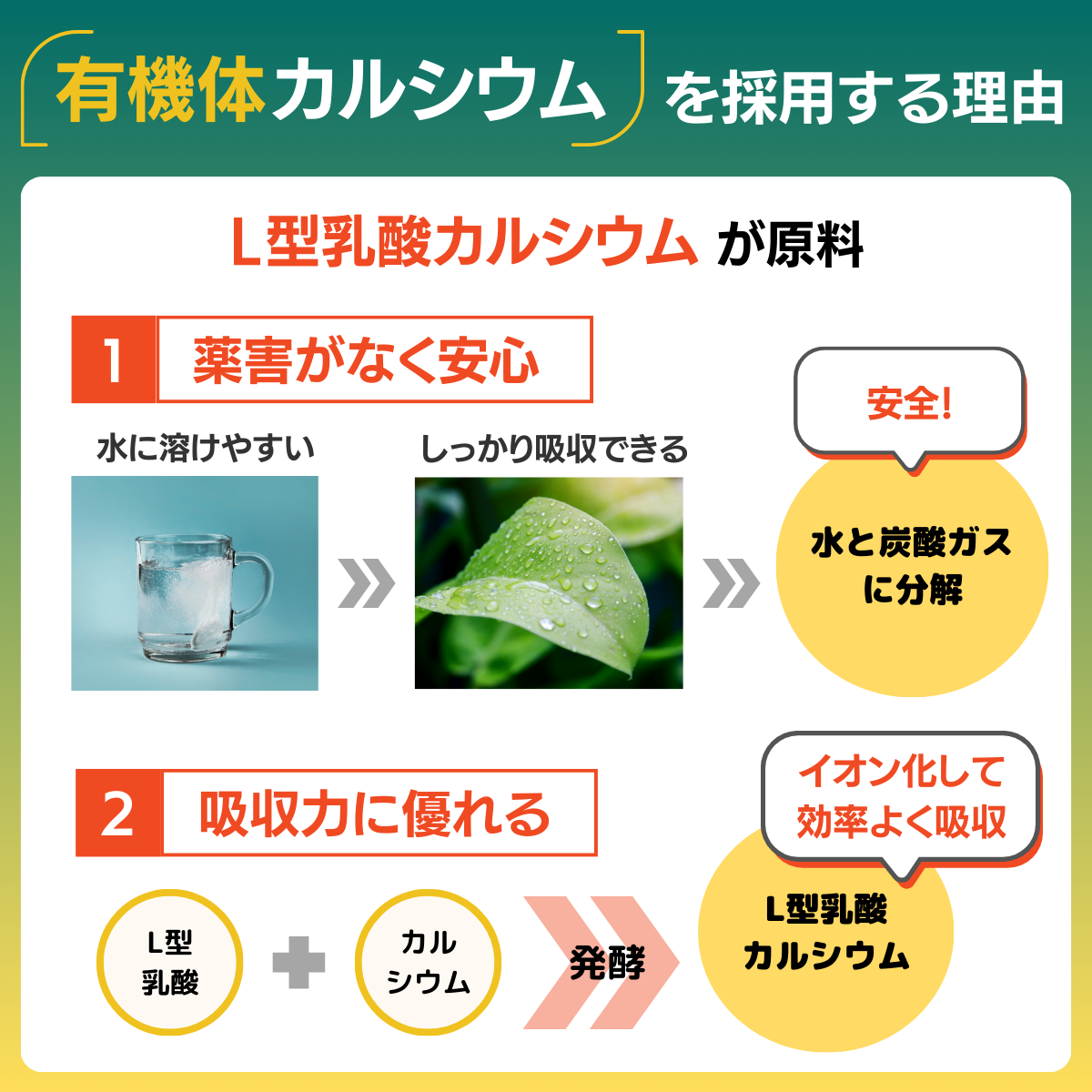 生理障害防止剤 GPカルシウム(1L）