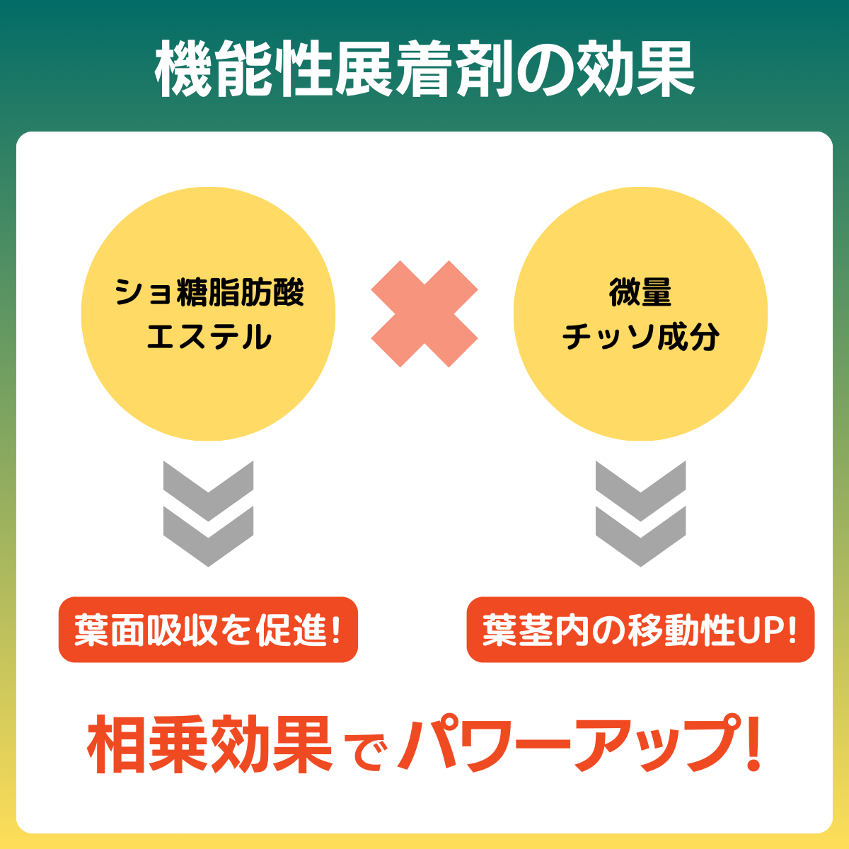 生理障害防止剤 GPカルシウム(1L）