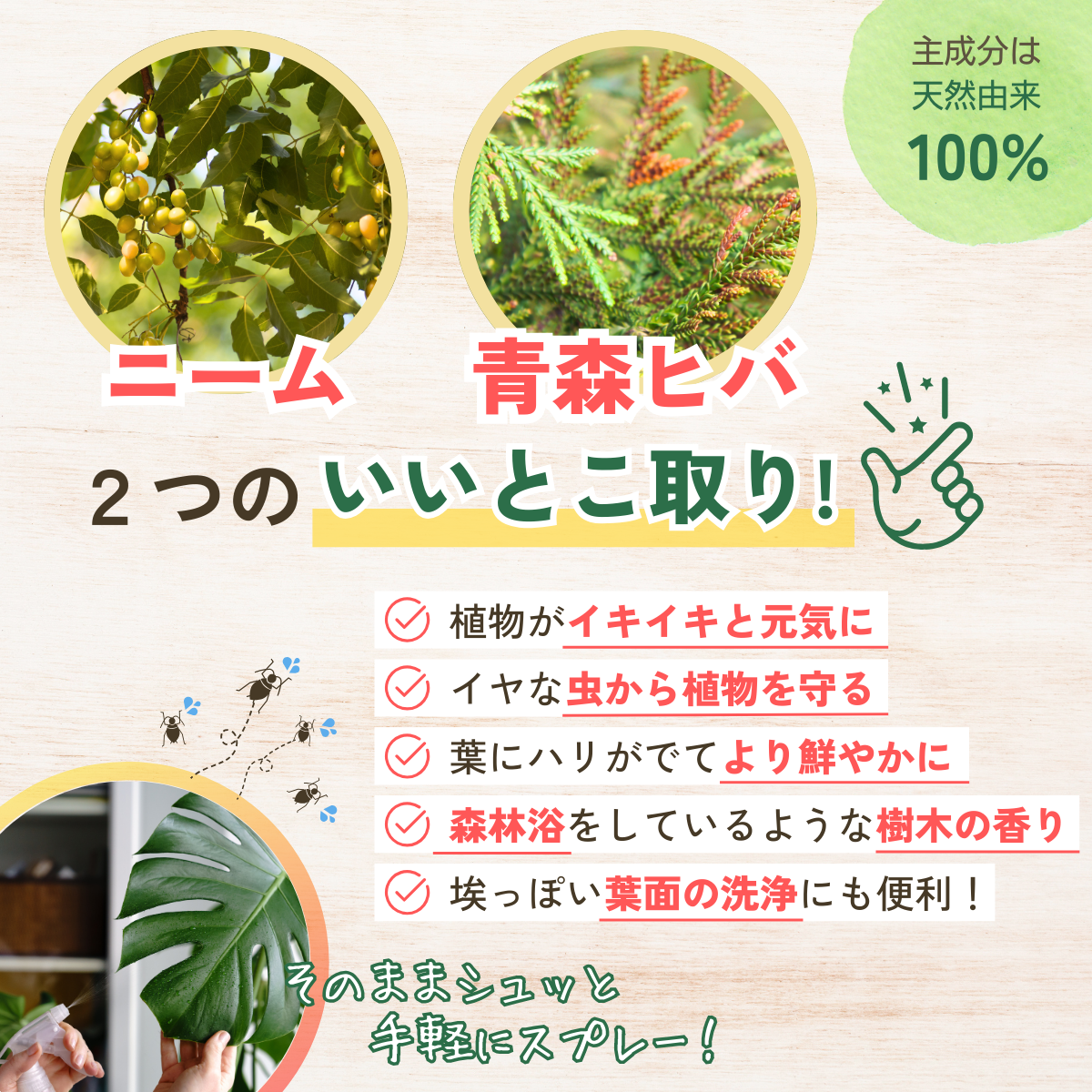 植物用活力スプレー ヒバニームプラントガード (本体200mL・詰替200mL）