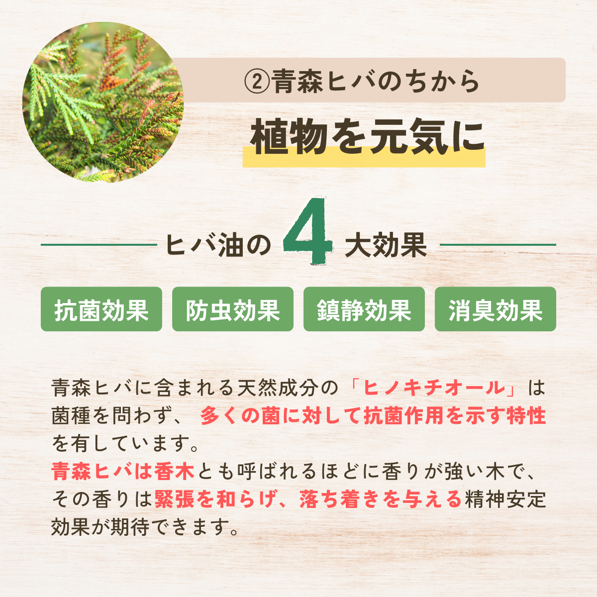 植物用活力スプレー ヒバニームプラントガード (本体200mL・詰替200mL）