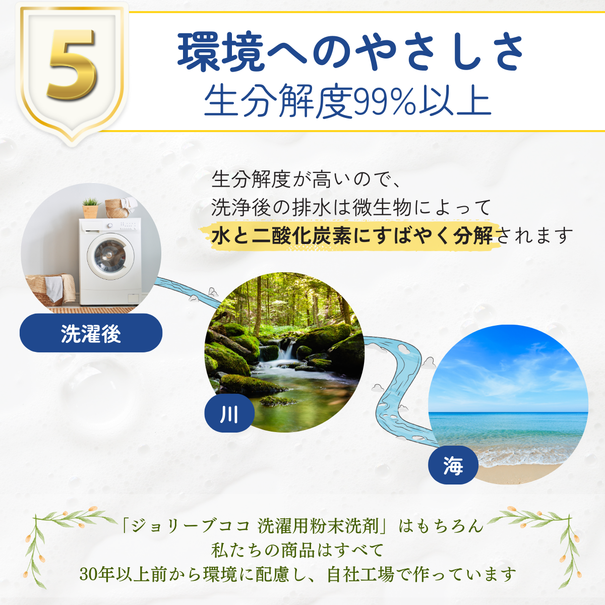 ジョリーブココ衣類洗い 洗濯用粉末洗剤 (700gx6個）