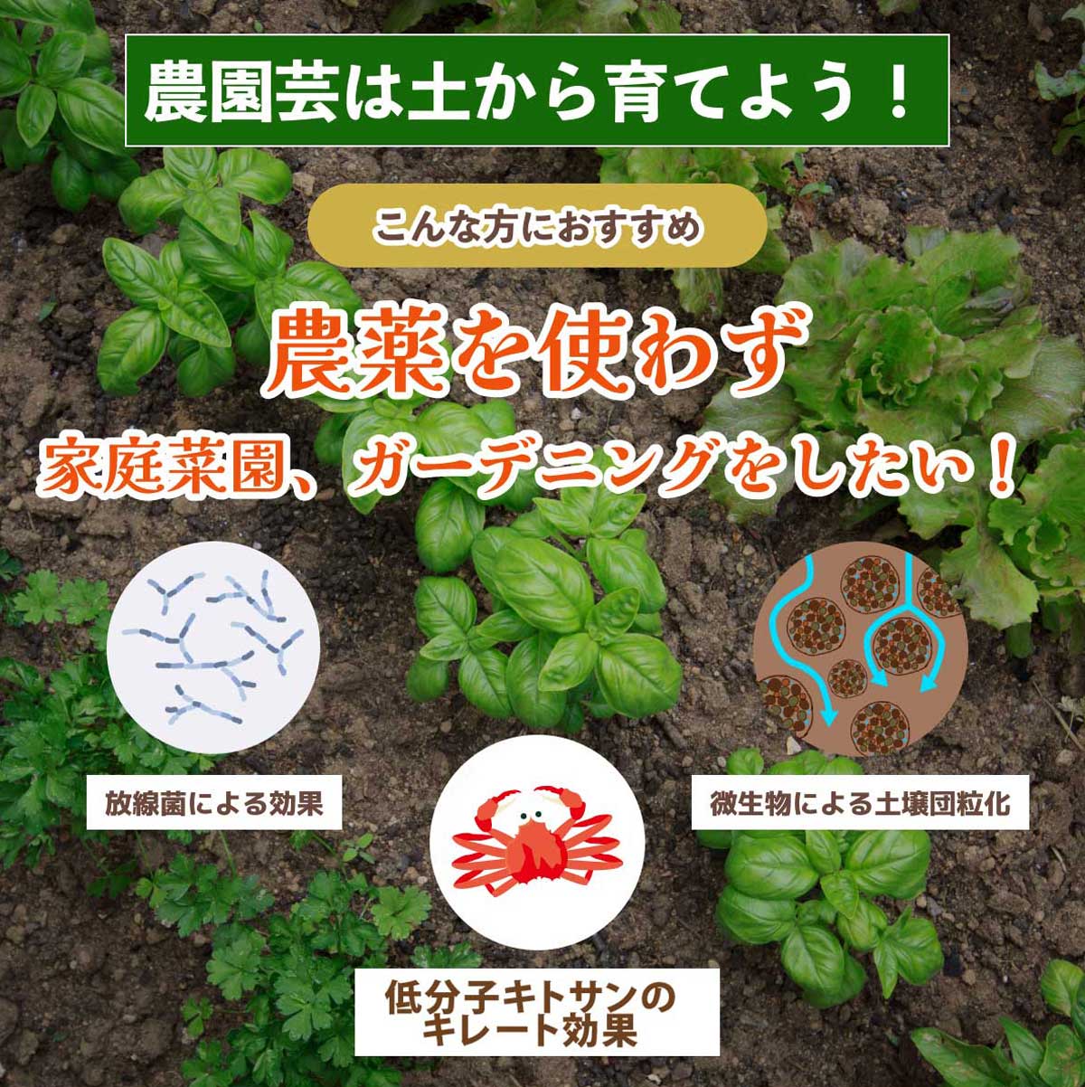 免疫強化 GPキトサン(10L)