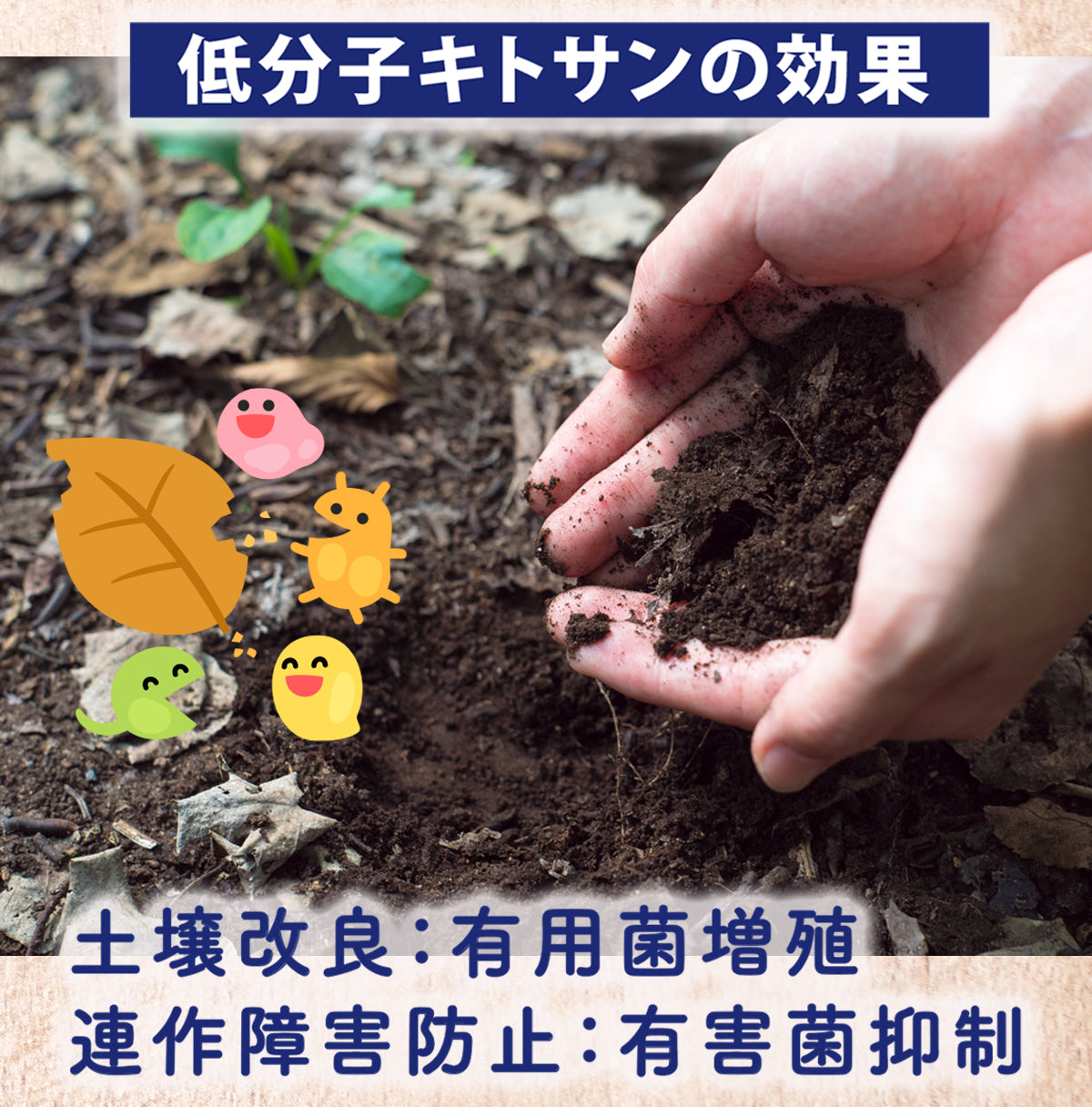 免疫強化 GPキトサン(10L)