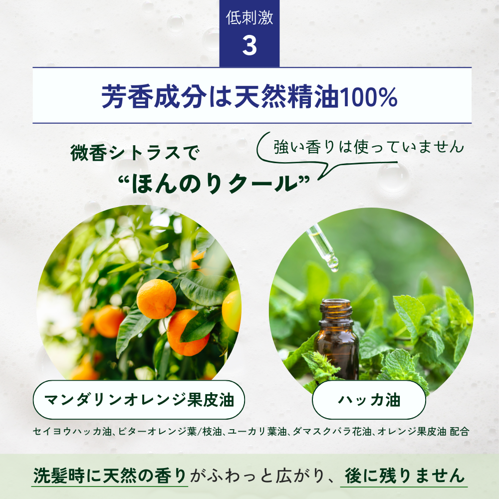 ザ・シャンプーフォー メン(280mL）