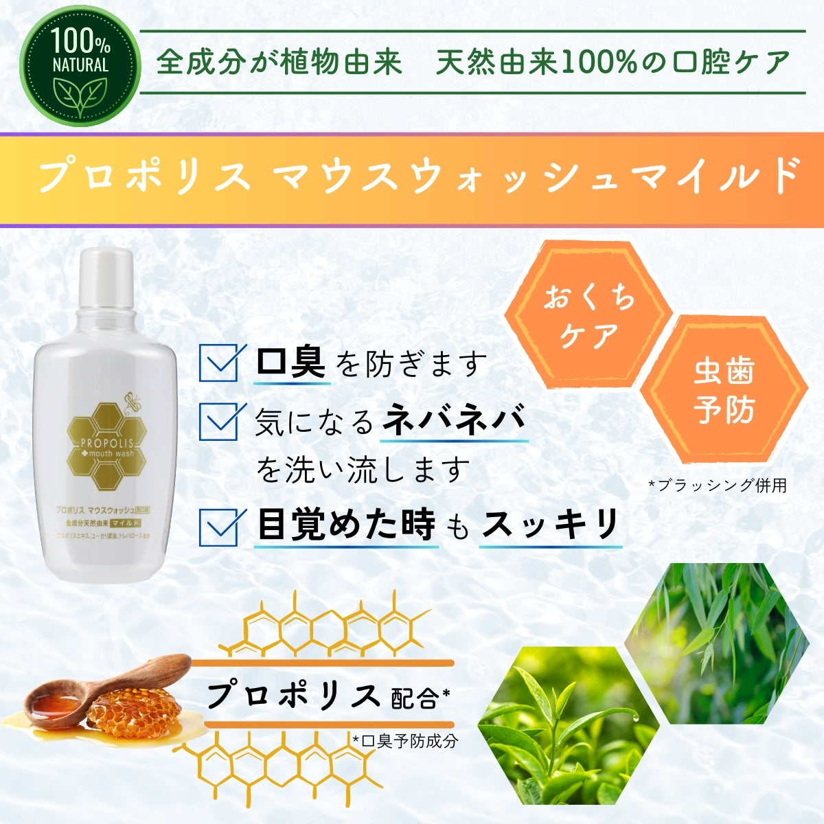 プロポリスマウスウォッシュマイルド (300mL×3本）