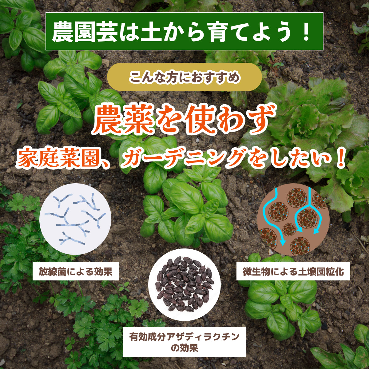 ニームケーキパウダー(1kg)