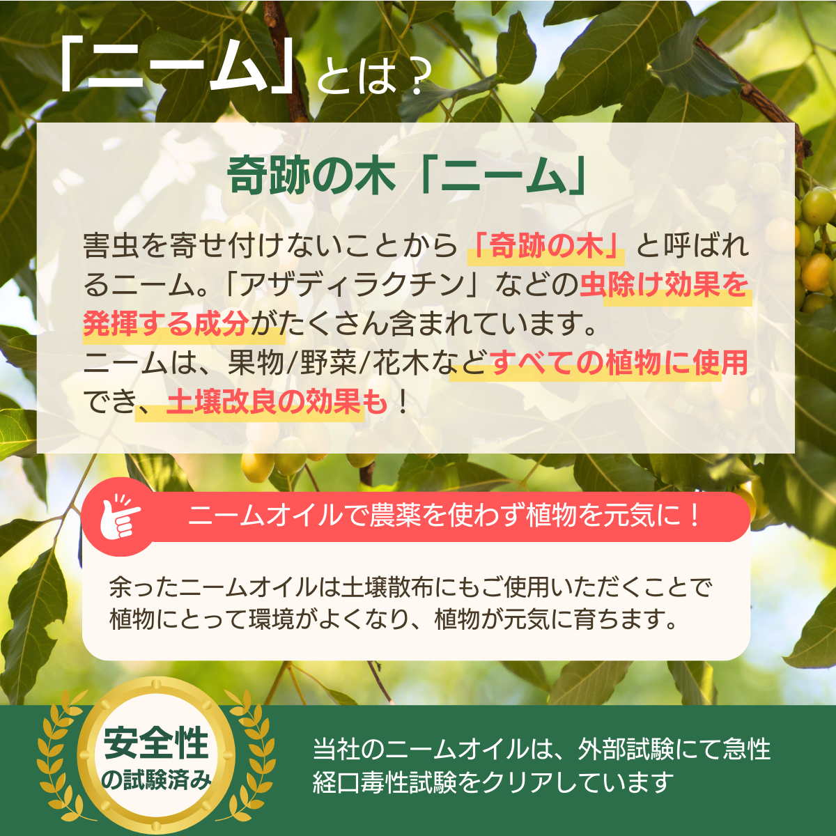抗害虫活性剤 GPレスキュー(1L)