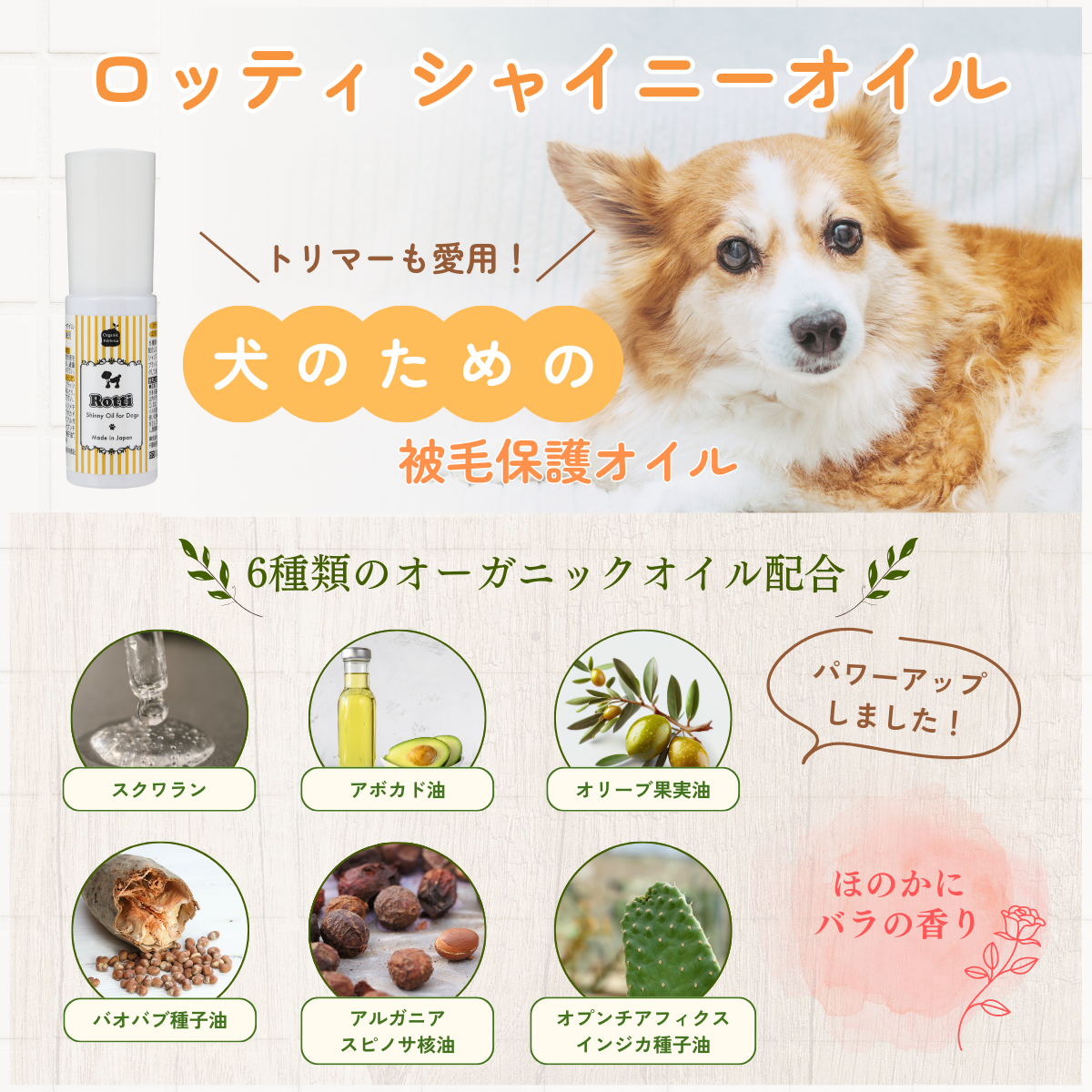 愛犬想いのシャンプーギフトセット
