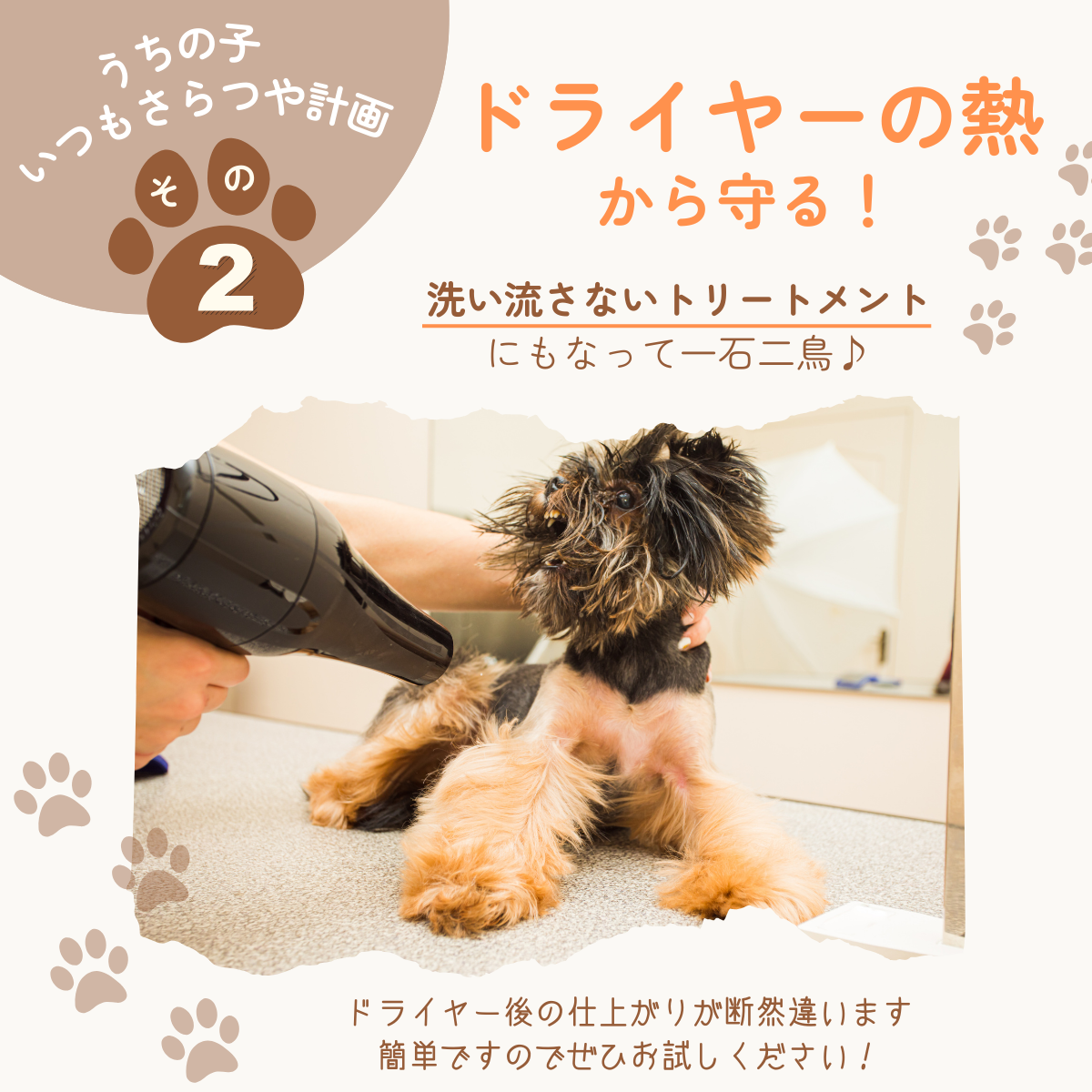 愛犬用 ロッティシャイニーオイル(25mL)
