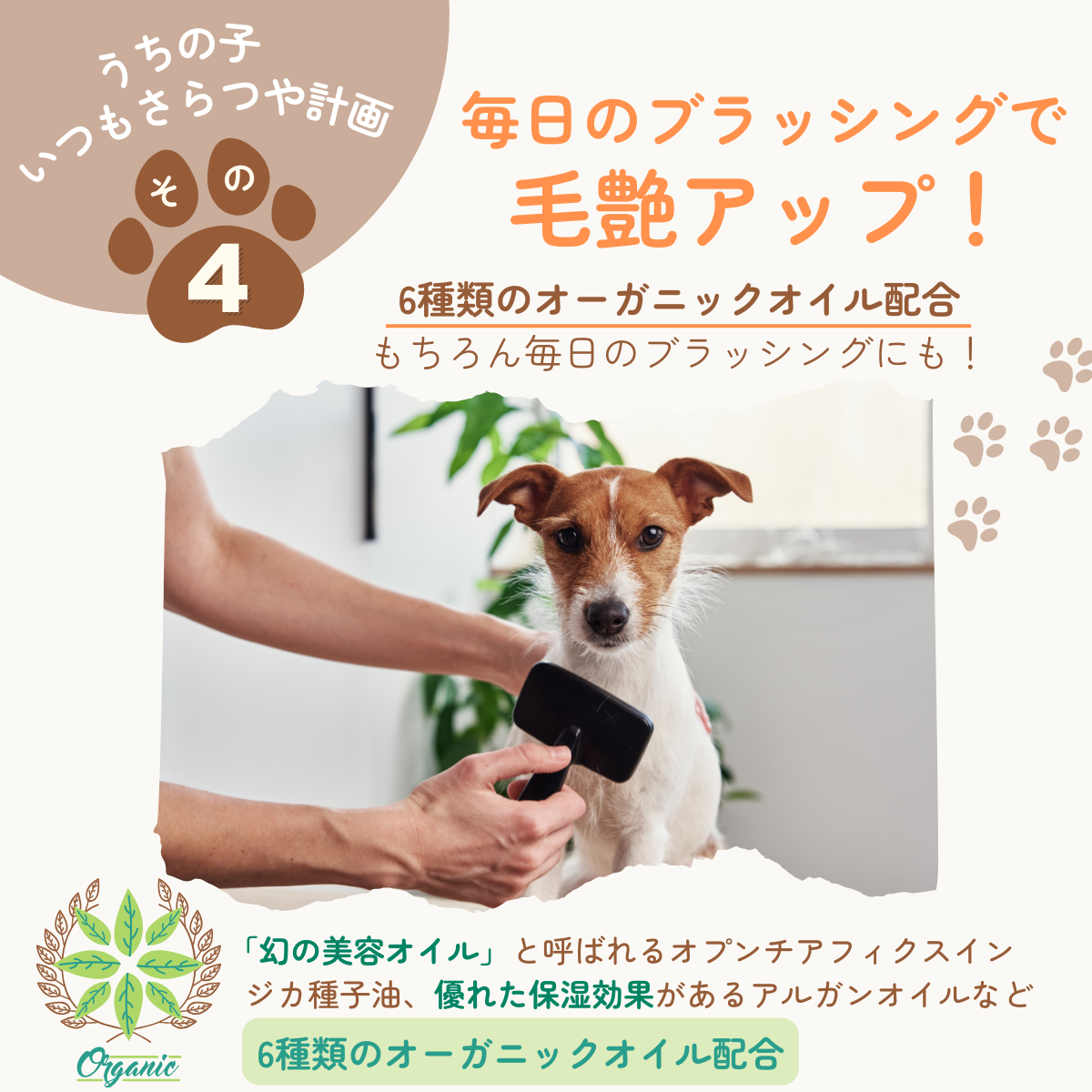 愛犬用 ロッティシャイニーオイル(25mL)