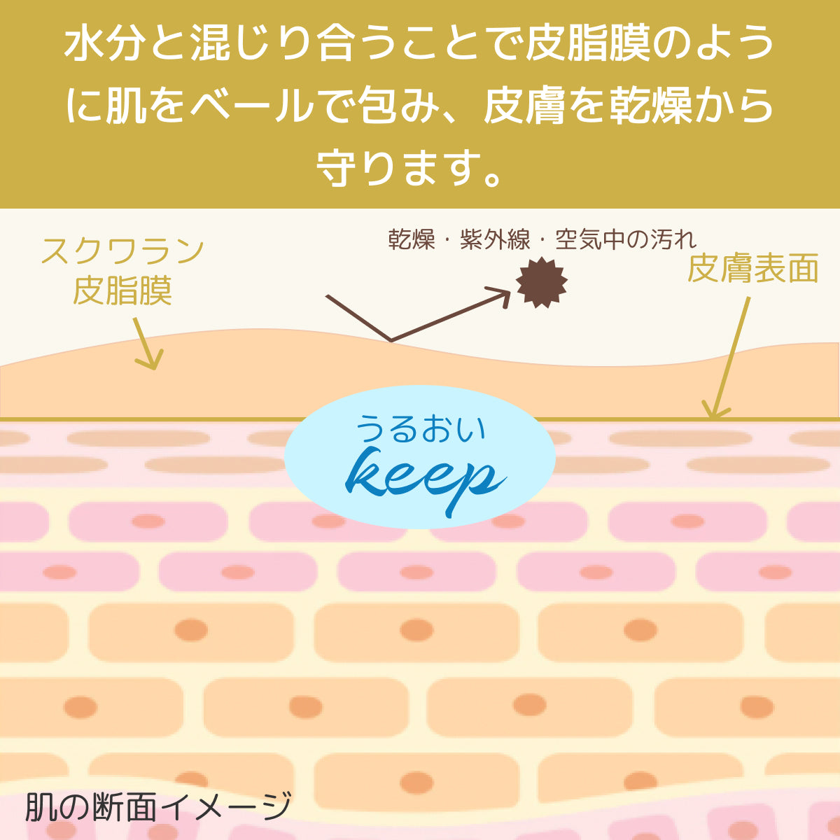 スクワランオイル(100mL×4本）